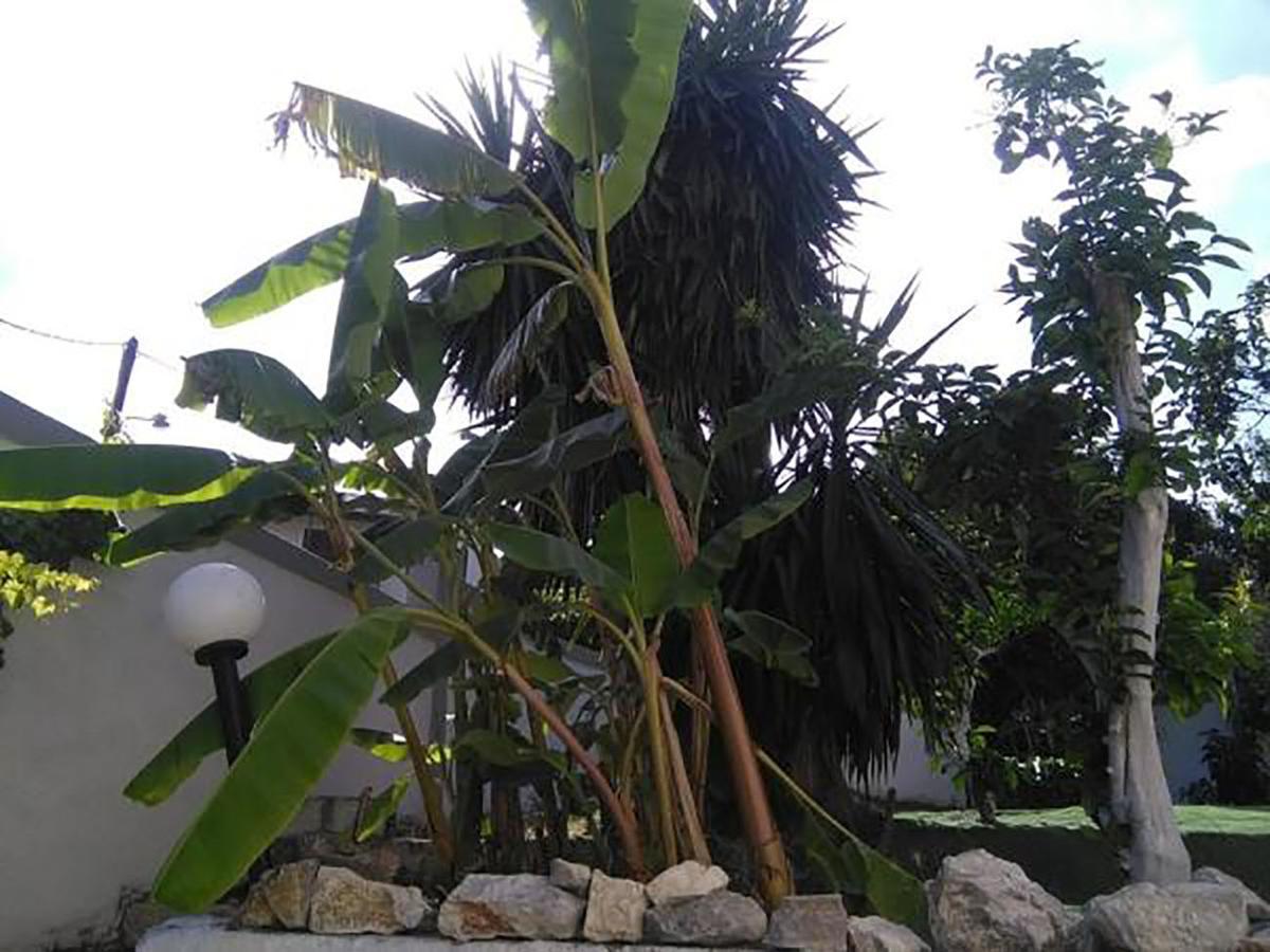 Aragorn Paradise Garden Moraítika Kültér fotó