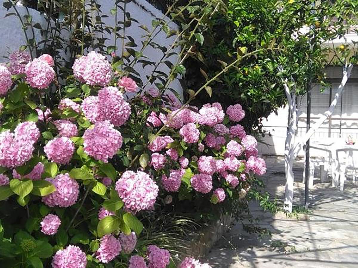 Aragorn Paradise Garden Moraítika Kültér fotó