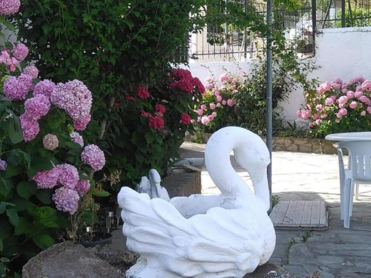 Aragorn Paradise Garden Moraítika Kültér fotó
