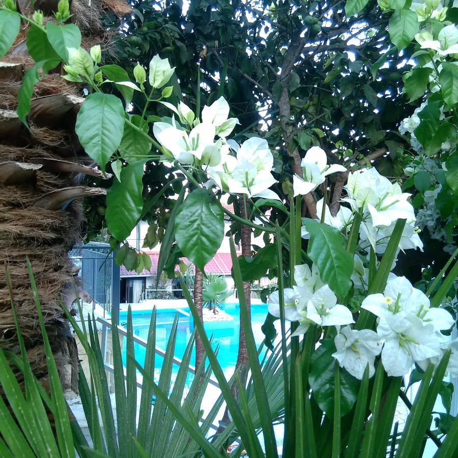 Aragorn Paradise Garden Moraítika Kültér fotó